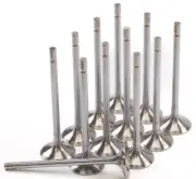 GSC Power 2241-12 Stainless Steel STD Size Exhaust Valve For VR30DDTT