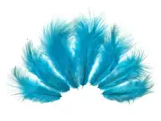 USA SELLER - 1 Dozen - Solid Light Blue Rooster Chickabou Fluff Feathers