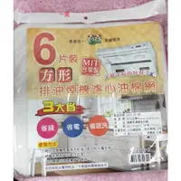 在飛比找蝦皮購物優惠-一流~NO.209-2  6片裝方形排油煙機濾心油棉網 排油