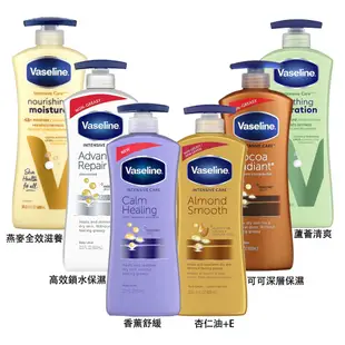 Vaseline身體乳液系列600ml Vivo薇朵