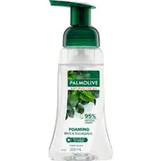 Palmolive Foaming Liquid Hand Wash Antibacterial Limited Edition 250ml