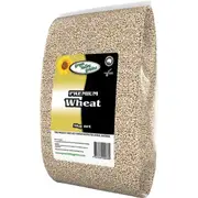Green Valley Wheat