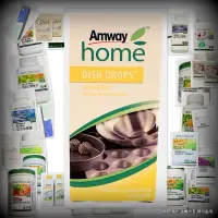 在飛比找蝦皮購物優惠-安麗 Amway Home 金鋼刷 最順手的鋼絲球 不傷您的