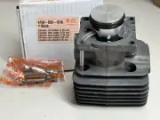 STIHL OEM CYLINDER WITH PISTON KIT 4134 020 1218 FS120 FS120R BT120C BT121 120 R