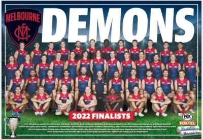 Melbourne demons TEAM POSTER,AFL FOOTBALL PREMIERS ,SWANS, book, Geelong cats 1