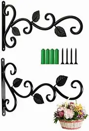 Wall Hanging Plant Bracket, 2 Pcs Retro Outdoor Indoor Garden Hook Décor Alloy Decorative Plant Brackets Hooks, Wall Mount Plant Hangers with Screws for Bird Feeders, Planters, Black