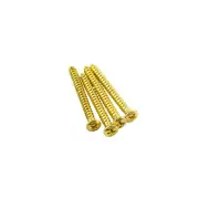4pcs Neck Screw For Fender Style Guitars And Basses 24k plated Gold fits Kramer
