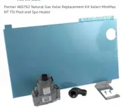 Pentair #460762 Gas Valve Kit Natural Gas for Minimax Nt Tsi