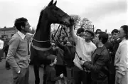 Lucius 1978 Grand National Win 1 Horse Racing Old Photo