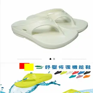 寶藍 伊布 加贈襪🐊母子鱷魚 第四代 🐊紓壓恢復機能鞋/足弓/氣墊夾腳拖鞋 馬拉松Y拖(路跑.海灘.雨天專用)