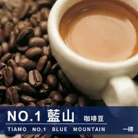 在飛比找Yahoo奇摩購物中心優惠-Tiamo NO.1藍山咖啡豆 450g (HL0546)