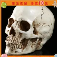 在飛比找蝦皮購物優惠-人骨模型1:1樹脂骷髏頭繪畫人頭骨藝用人體肌肉骨骼解剖頭骨模