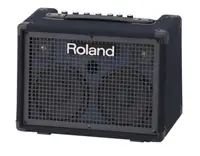 在飛比找松果購物優惠-Roland KC-220 KC220 立體聲電子琴/鍵盤/