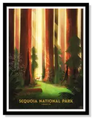 Sequoia National Park by Glenn Thomas 59 Parks Art Print Official Poster MINT