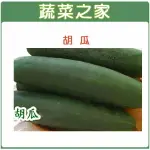【蔬菜之家】G12.胡瓜種子(大黃瓜、大胡瓜)(共有2種包裝可選)