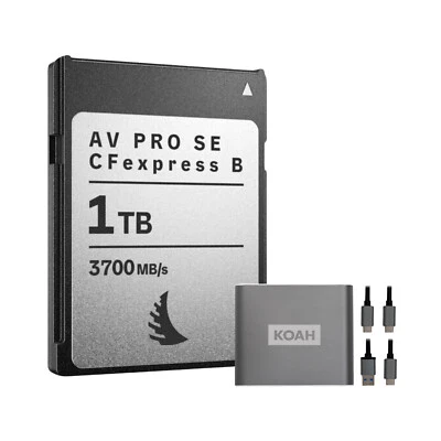 Angelbird AV PRO SE High-Speed Memory Card (2-Pack) Bundle with Reader (3 Items)