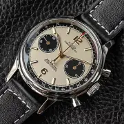 Seagull Sugess ST1901 Panda 38mm Champagne Chronograph Sapphire Display 1963