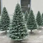 聖誕樹加密白色仿真雪樹加密 PE少雪聖誕樹雪花雪景擺件大型裝飾品