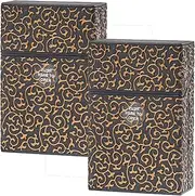 [Lorxilar] 2 Pack Cigarette Case Plastic King Size for 20 Cigarettes Cigarette Case Holder for Men and Women,One Size,Gold