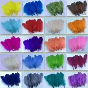 Wholesale!100pcs Natural goose feather 15-20cm/6-8inches various colors