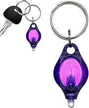 Keychain Light | UV Mini Keychain Light Flashlight,Portable Mini Lamp Detector Lighting for Backpack Schoolbag Child Detections