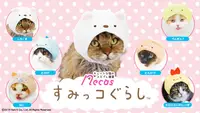 在飛比找有閑購物優惠-【cookie賊賊玩具】Necos 貓咪頭套-角落一族篇 角