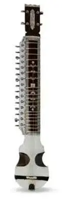 INDIAN HIGH STRING INSTRUMENT FOLK CLASSICAL WOODEN PROFESSIONAL ESRAJ WITH BAG