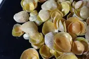 Sea shell -anomia specie craft supply 9-24-m.m. 300-pcs-for sailor valentines.