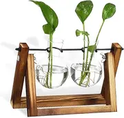 BESPORTBLE Plant Propagation Station with Wooden Stand Dual Bulb Glass Vases for Tabletop Display for Indoor Plant Growth and Centerpiece Decoration