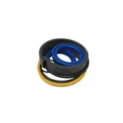 Interchangeable Seal Kit G00935 Fits Case Disc Harrow Wing Lift Models