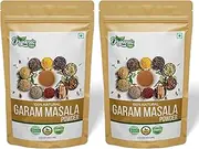 Organic Zing Garam Masala - A Versatile Indian Blend of Spices and Herbs | Vegan | Preservative Free | Product of India - 100 g / 3.5 oz (Pack of 2)