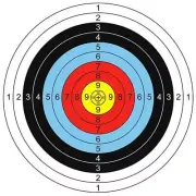 10/20pcs X PAPER FACE TARGET 60X60CM FOR COMPOUND & RECURVE BOW ARCHERY