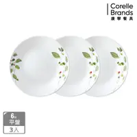 在飛比找PChome24h購物優惠-CORELLE 康寧綠野微風6吋平盤三入組