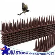 12Pcs Plastic Bird Pigeon Spikes Anti Bird Anti Pigeon Scare Cats Pest Repellent