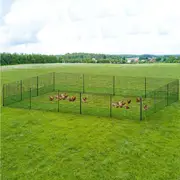 i.Pet Chicken Fence Electric 50Mx125CM Poultry Netting