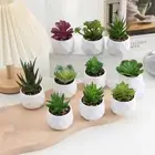 Artificial Potted Plant Succulent W/ Pot Small Faux Cacti Fake Decor R7L8 X7R5