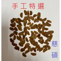 在飛比找蝦皮購物優惠-墨西哥龜甲龍2023/3月採收種子熱賣中。慈碩農場