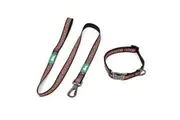NRL South Sydney Rabbitohs Reflective Pet Dog Collar Walking Lead Set