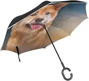 Double Layer Inverted Umbrella Cars Reverse Umbrella Drawing Shiba Inu Dog Windproof UV Proof Travel Outdoor Umbrella