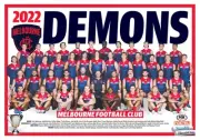Melbourne demons team poster, CHEAPEST,afl football