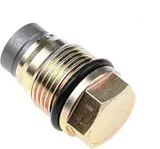 1110010017 Fuel Rail Pressure Relief Limiter Valve, for Hyundai Libero Porter H-1, for KIA Sorento 2.5 CRDi 96377879 96415094