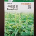 菜子店 檸檬羅勒 LEMON BASIL 香草種子 檸檬羅勒種子