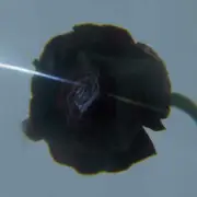 Pablo's Eye - Dark Matter (LP)