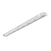 Lucius Production LED Bar Clone 80w