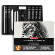 Drawing Sketching Pencil Set, 24 Piece Pro Artist Sketch Kit - Graphite Penci...