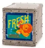 SCENTSY FRUIT CRATE Wax Warmer Double Sided Element - NEW IN BOX