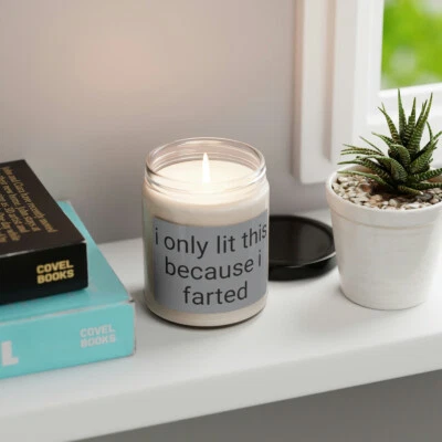 I only lit this because I farted funny Scented Soy Candle, 9oz