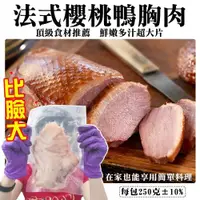 在飛比找ETMall東森購物網優惠-海肉管家-法式櫻桃鴨胸肉4片(250g/片)