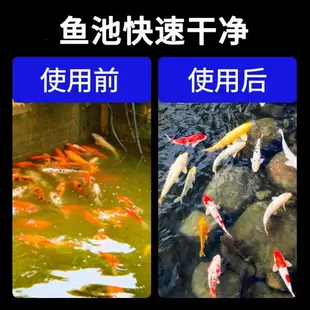 瘋狂水草魚池水循環系統大錦鯉池小型室外戶外養魚水池箱過濾器桶