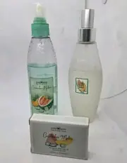 Vintage Bath Body Works Cucumber Melon Set